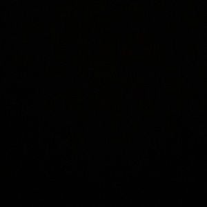 Meet your Posher, Anessa